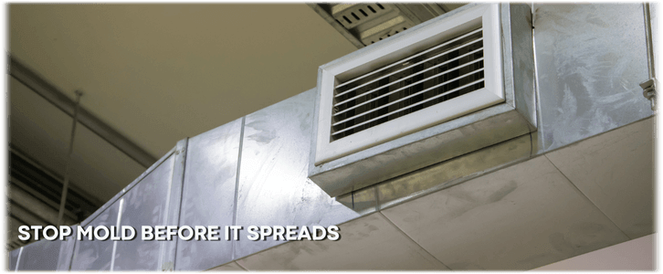 Air Duct Mold Removal in Los Angeles