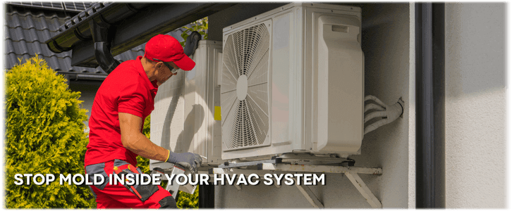 HVAC Mold Removal Los Angeles